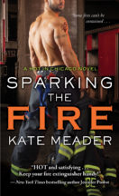 Review and Giveaway: Sparking the Fire by Kate Meader