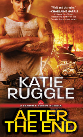 Teaser, Giveaway and a free Novella for Katie Ruggle Fans.
