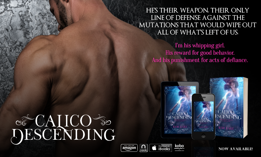 Release Day: Calico Descending by Keri Lake